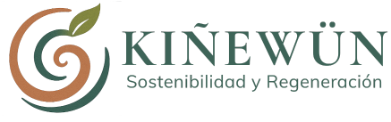 Kiñewün Consultoría Logo